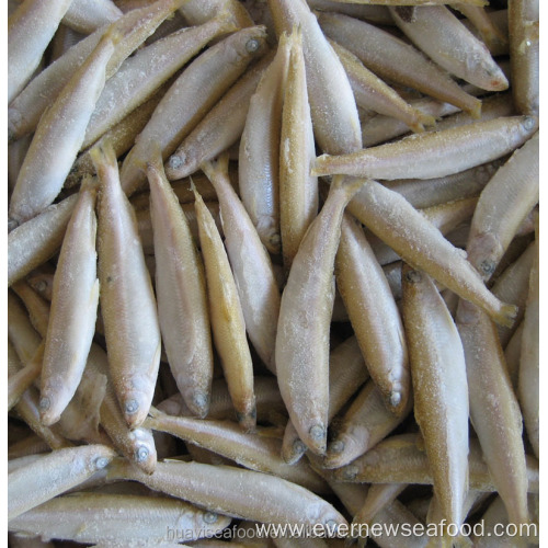 high quality iqf fish whitebait